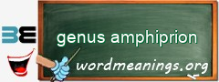 WordMeaning blackboard for genus amphiprion